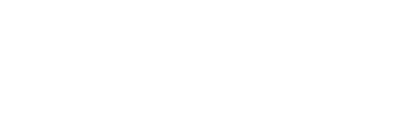 dns-logistic-footer-logo