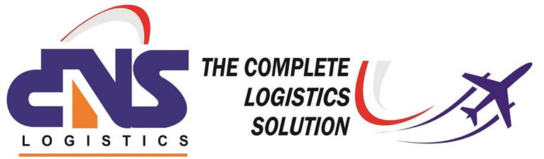 DNS Logistic